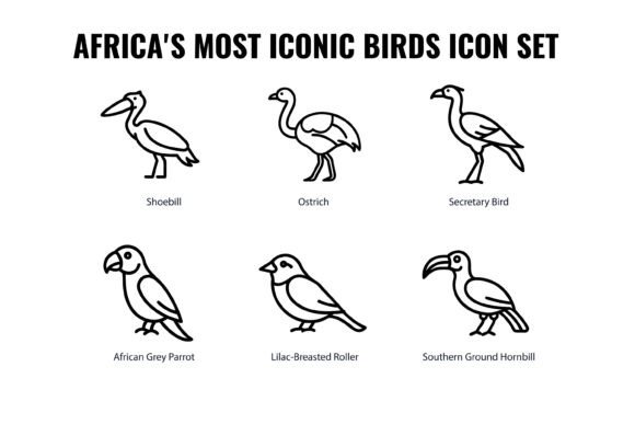 Africa’s Most Iconic Birds Icon Set: A Graphic Design Asset Worth Considering
